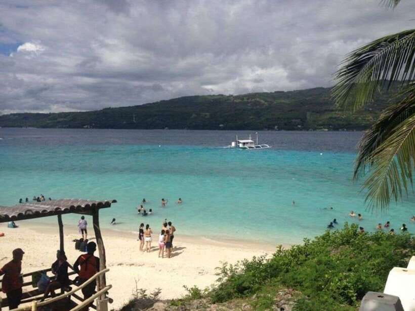 Cebu: Whale Shark Swimming, Sumilon Island and Kawasan Falls - What the whale shark encounter is really like