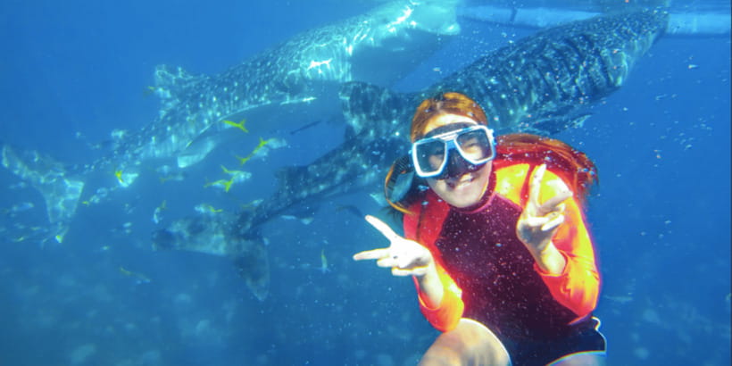Cebu: Whale Shark Swimming, Sumilon Island and Kawasan Falls - Sumilon Island and its shifting sandbar