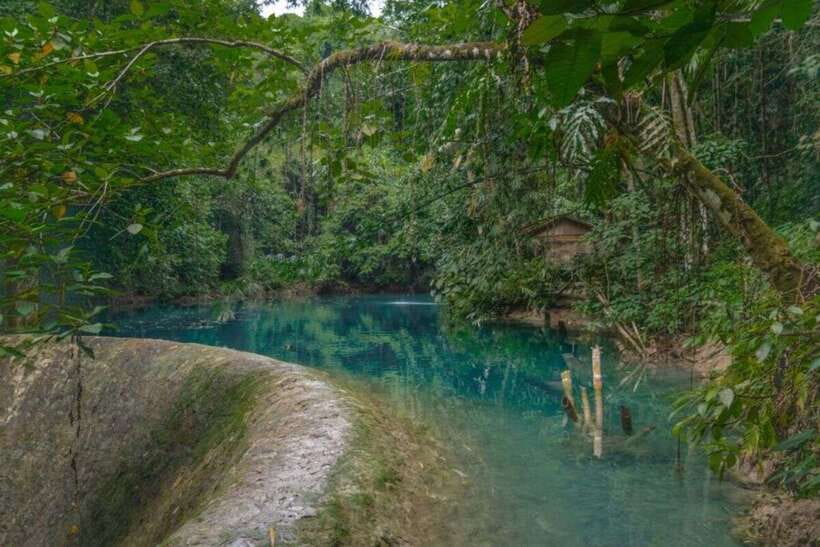 Cebu: Whale Shark Swimming, Sumilon Island and Kawasan Falls - Guides, vehicles, and the human side of the trip