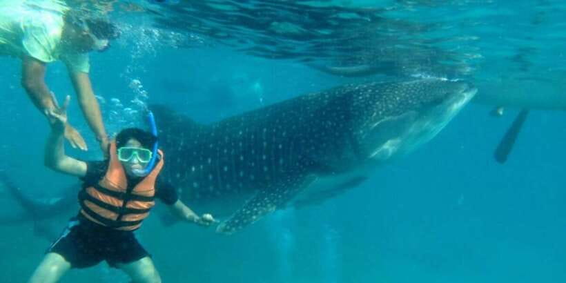 Cebu: Whale Shark Swimming, Sumilon Island and Kawasan Falls - Practical packing advice for a 12-hour day