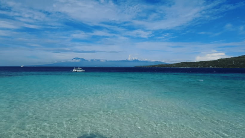 Cebu: Whale Shark Watching, Tumalog Falls & Sumilon Island - Key points to know before booking