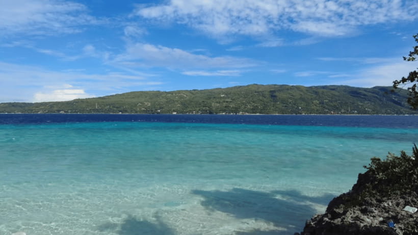 Cebu: Whale Shark Watching, Tumalog Falls & Sumilon Island - Why this Cebu day trip works