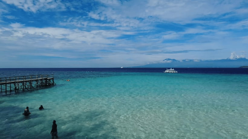 Cebu: Whale Shark Watching, Tumalog Falls & Sumilon Island - Meeting the whale sharks in Oslob