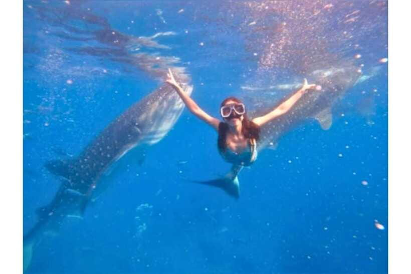 Cebu:Whale Shark, Waterfall, and Sardine Run Group Tour+Meal - Transfers and guide support