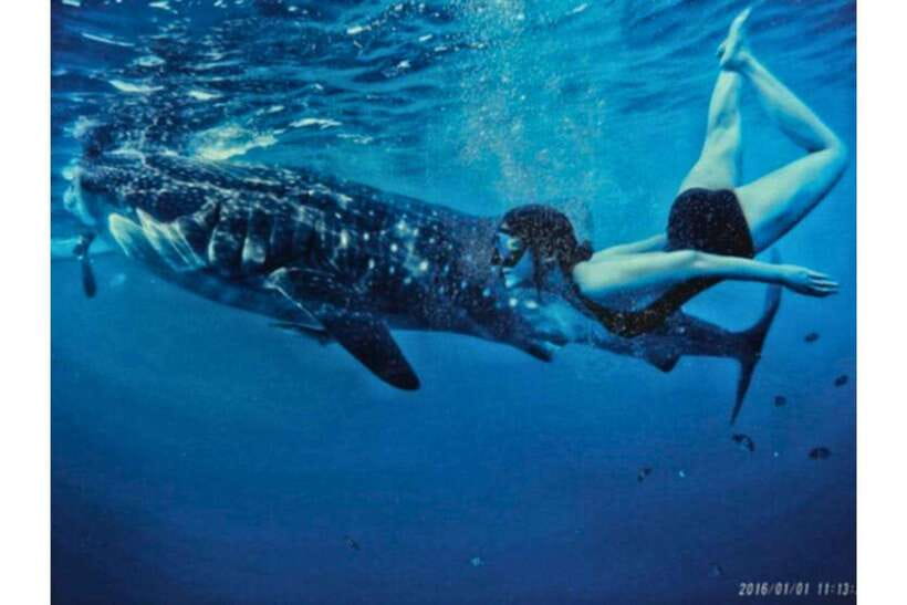 Cebu:Whale Shark, Waterfall, and Sardine Run Group Tour+Meal - What to pack for a wet, active day