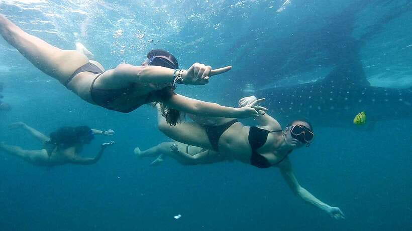 Cebu: Whale Sharks, Ka-Treasure Water Terraces & Simala Tour - Why the whale sharks make this such a demanding day