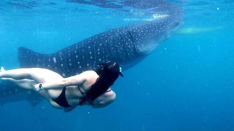 Cebu: Whale Sharks, Ka-Treasure Water Terraces & Simala Tour - Simala Church, Cebu’s castle-like pilgrimage stop