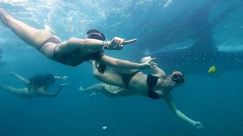Cebu: Whale Sharks, Ka-Treasure Water Terraces & Simala Tour - Should you book it?