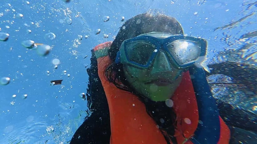 Cebu: Whale Sharks, Kawasan Falls, & Sardines Run Snorkeling - Kawasan Falls, blue water, and the optional jumps