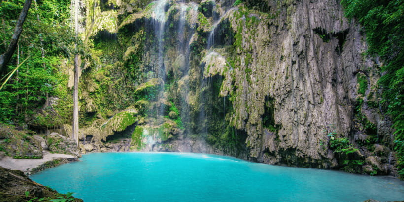 Cebu: Whale Sharks, Tumalog Falls, and Monkey Sanctuary Tour - Who should book this Oslob day trip