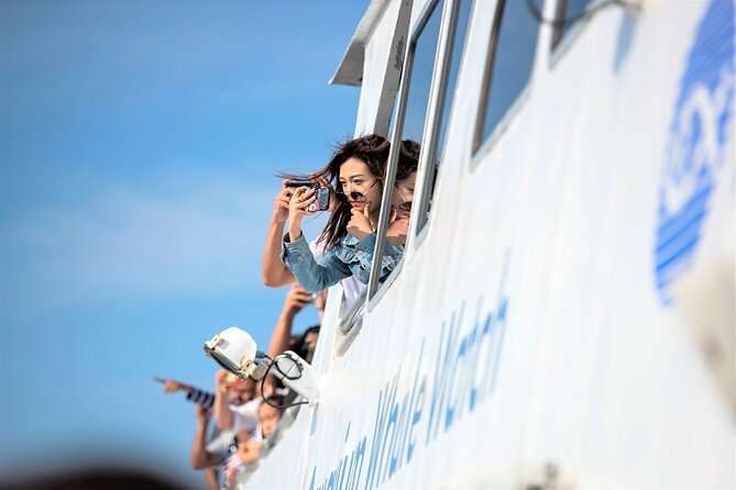 City Cruises Boston Whale Watching Cruise by High-Speed Boat - Who will enjoy this cruise most?