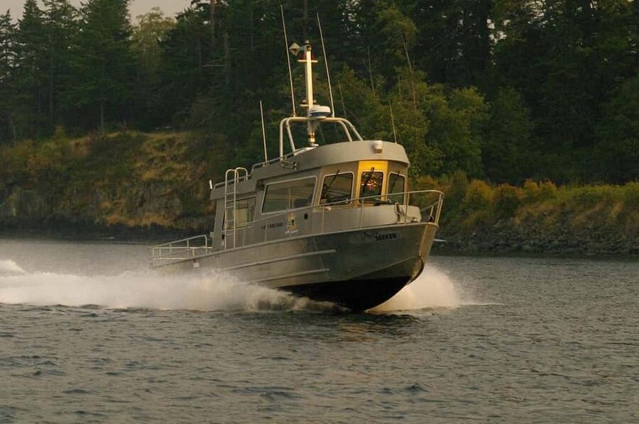 Comox: 4 Hour Whale and Wildlife Watching Tour - Leaving from Comox Marine Adventure Centre