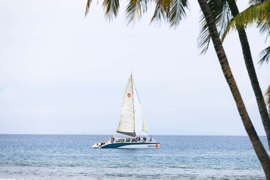 Coral Gardens Snorkel & Whale Watch - Sailing Along Maui’s Coast