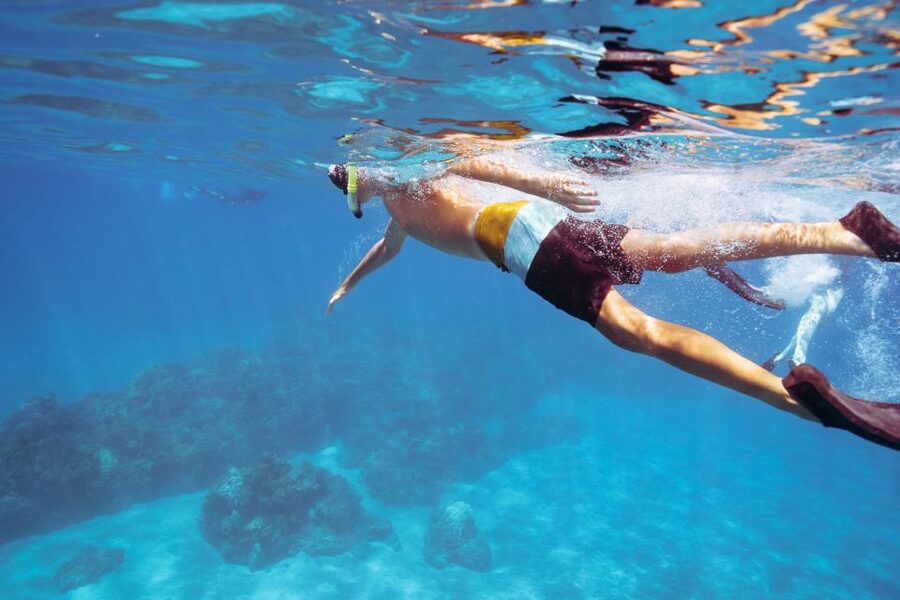 Coral Gardens Snorkel & Whale Watch - Who Will Enjoy This Three-Hour Cruise