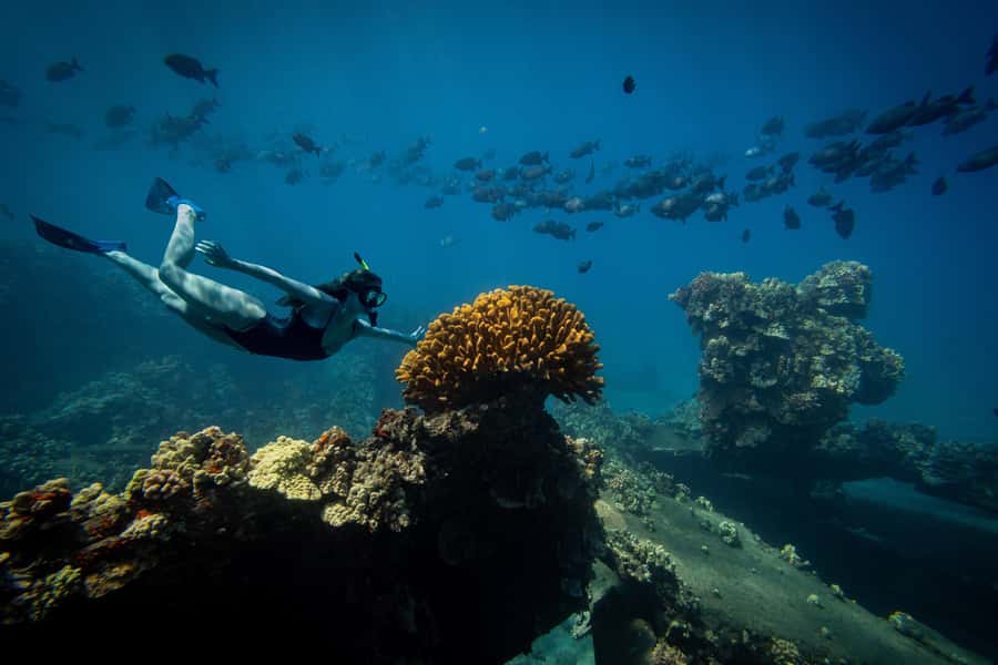 Coral Gardens Snorkel & Whale Watch - Watching for Humpback Whales in the Auʻau Channel