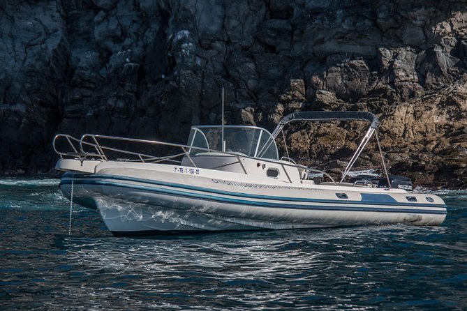 Costa Adeje | Cetacean sighting in Tenerife South - The value of $71.35 for two and a half hours