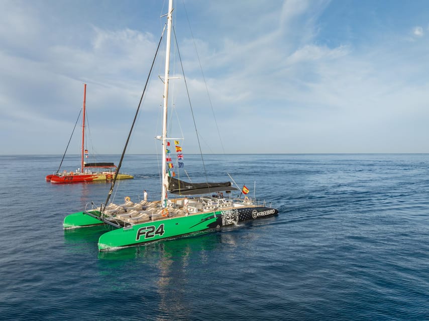 Costa Adeje: Masca and Los Gigantes Whale Watching Cruise - Finding Whales Between Tenerife and La Gomera