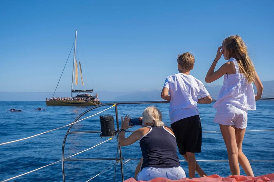 Costa Adeje: Masca and Los Gigantes Whale Watching Cruise - How the Experience Works for Families and Groups