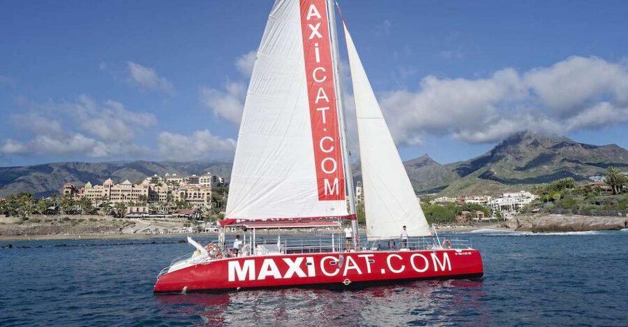 Costa Adeje: Whale and Dolphin Cruise with Food and Pickup - Why pilot whales make this Costa Adeje cruise special