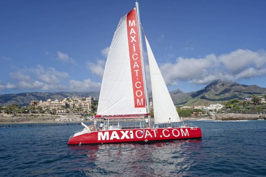 Costa Adeje: Whale and Dolphin Cruise with Food and Pickup - The wildlife search along Tenerife’s south coast