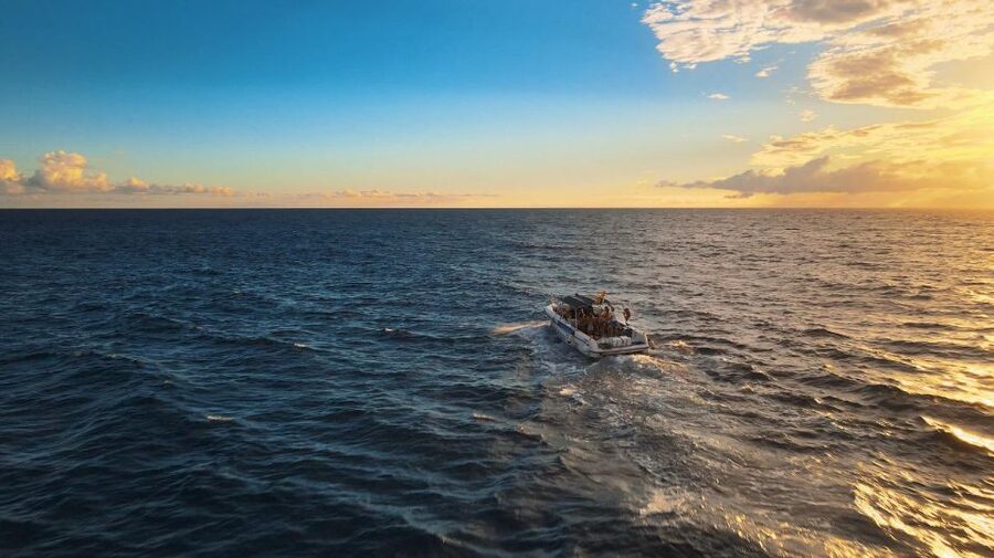 Costa Adeje: Whale and Dolphin-Watching Boat Excursion - Why the small group makes a real difference