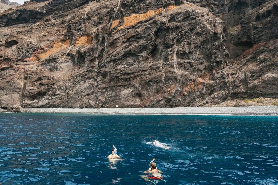 Costa Adeje: Whale & Dolphin Eco-Cruise with Snacks & Drinks - The underwater sound equipment