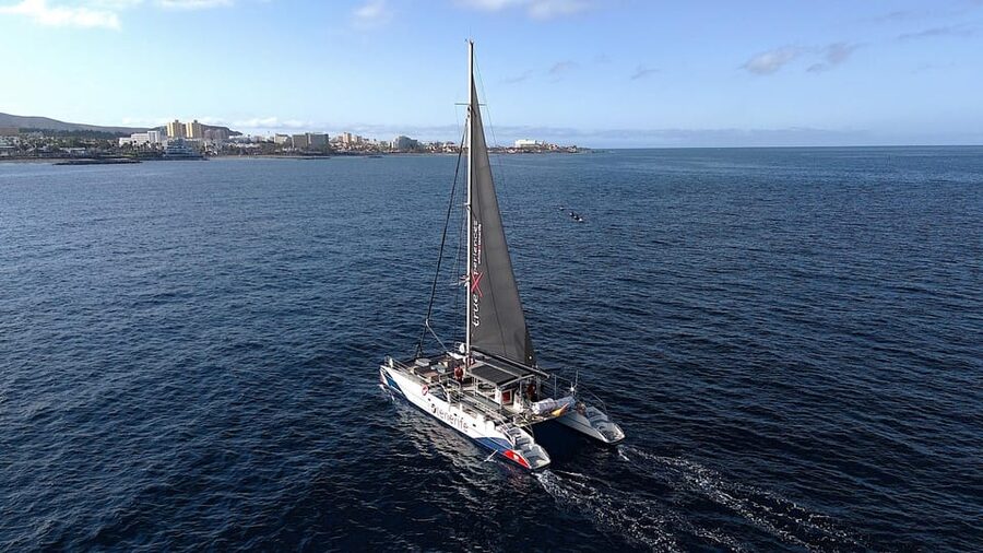 Costa Adeje: Whale & Dolphin Eco-Cruise with Snacks & Drinks - Choosing between three and five hours