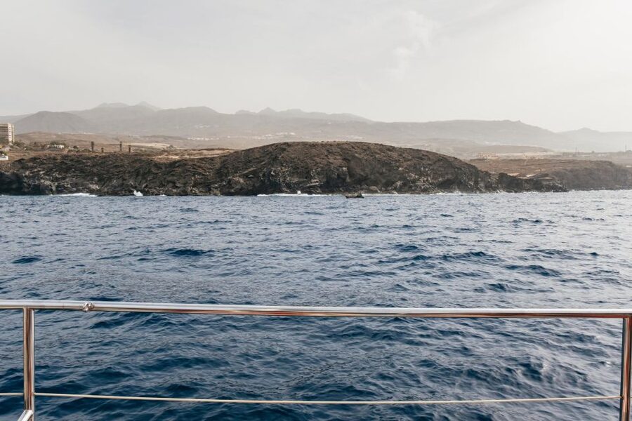 Costa Adeje: Whale & Dolphin Eco-Cruise with Snacks & Drinks - Seasickness, sun, and seating advice