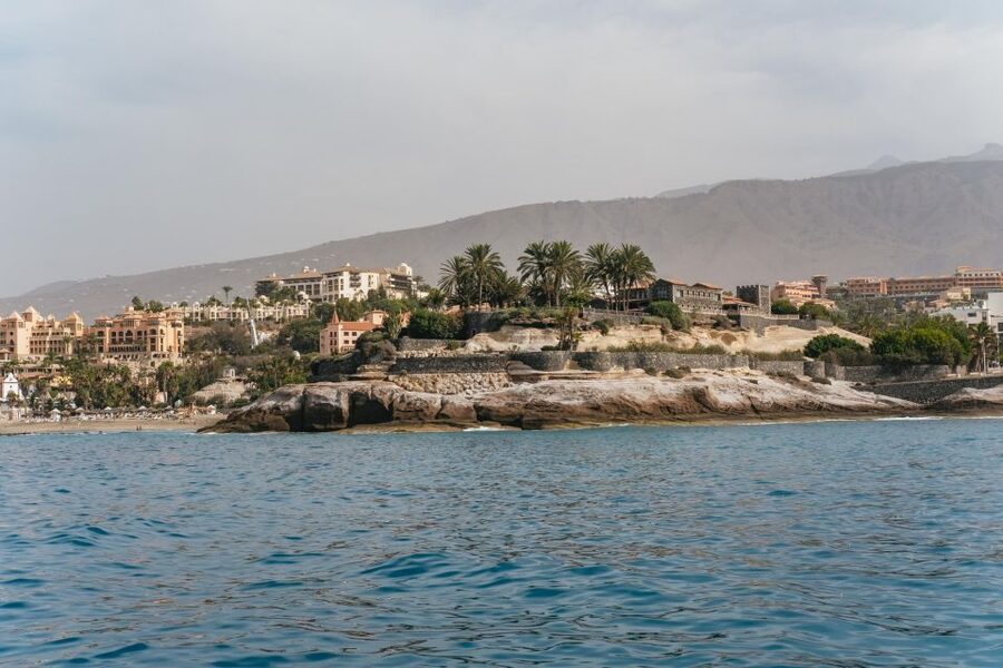 Costa Adeje: Whale & Dolphin Eco-Cruise with Snacks & Drinks - The eco-friendly side of the trip