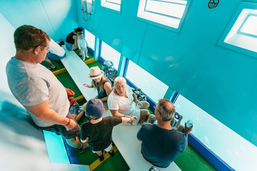 Costa Adeje: Whale & Dolphin Submarine Vision Mini Cruise - Who should book this cruise?