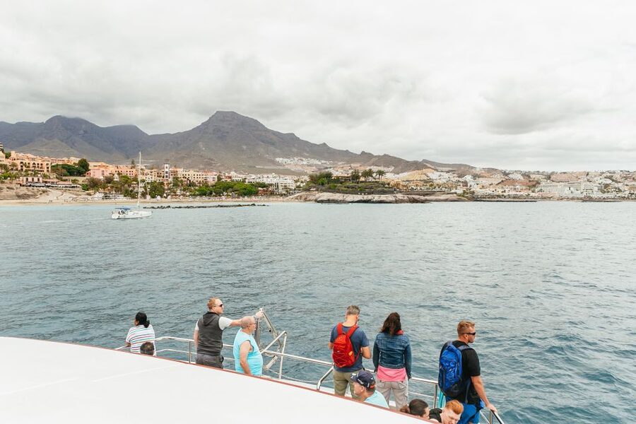 Costa Adeje: Whale & Dolphin Submarine Vision Mini Cruise - The underwater viewing area: useful, but not magic