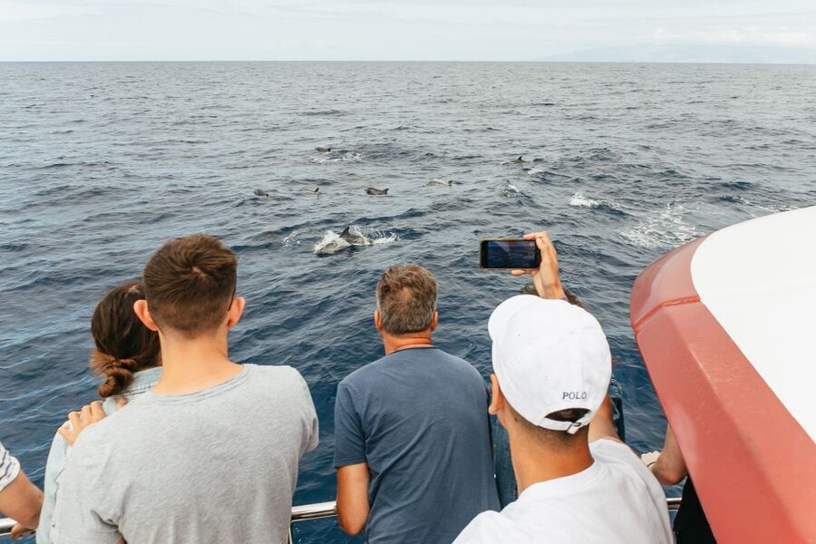 Costa Adeje: Whale & Dolphin Submarine Vision Mini Cruise - What the two-hour route feels like