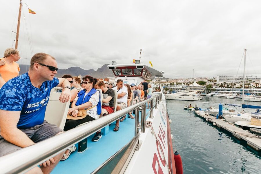 Costa Adeje: Whale & Dolphin Submarine Vision Mini Cruise - The crew, languages, and wildlife manners