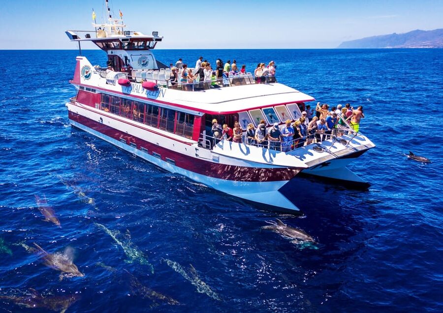 Costa Adeje: Whale & Dolphin Submarine Vision Mini Cruise - Watching Tenerife’s coast from the catamaran