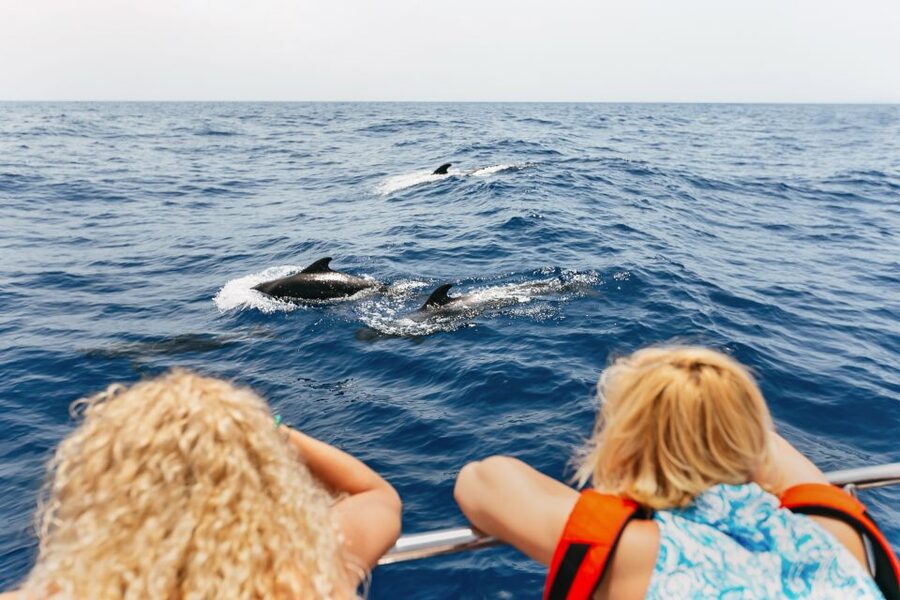 Costa Adeje: Whale Watching Catamaran Tour with Drinks - Why Tenerife is such a good place for whale watching