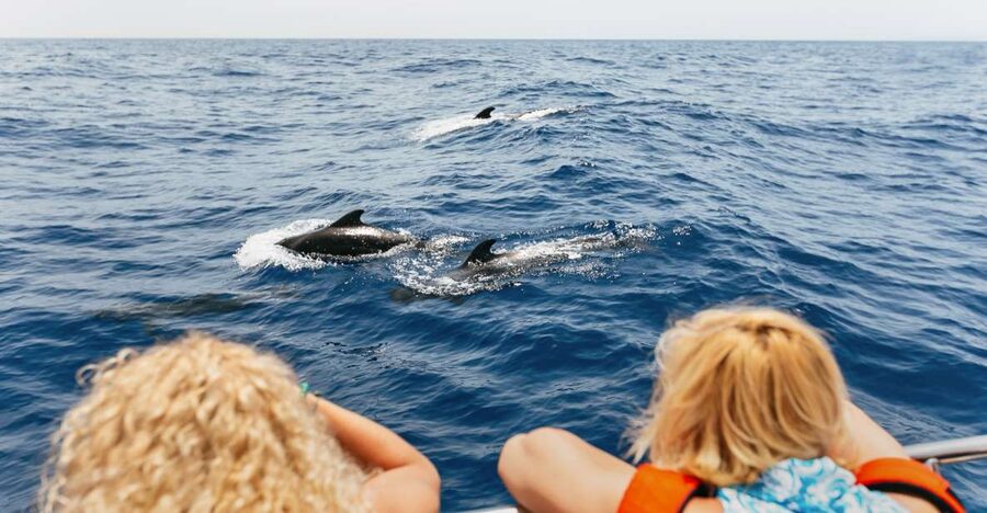 Costa Adeje: Whale Watching Catamaran Tour with Drinks - Finding pilot whales close to shore