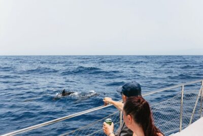 Costa Adeje: Whale Watching Catamaran Tour with Drinks