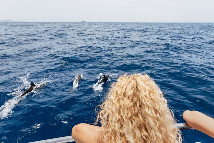Costa Adeje: Whale Watching Catamaran Tour with Drinks - What the two-hour trip does best