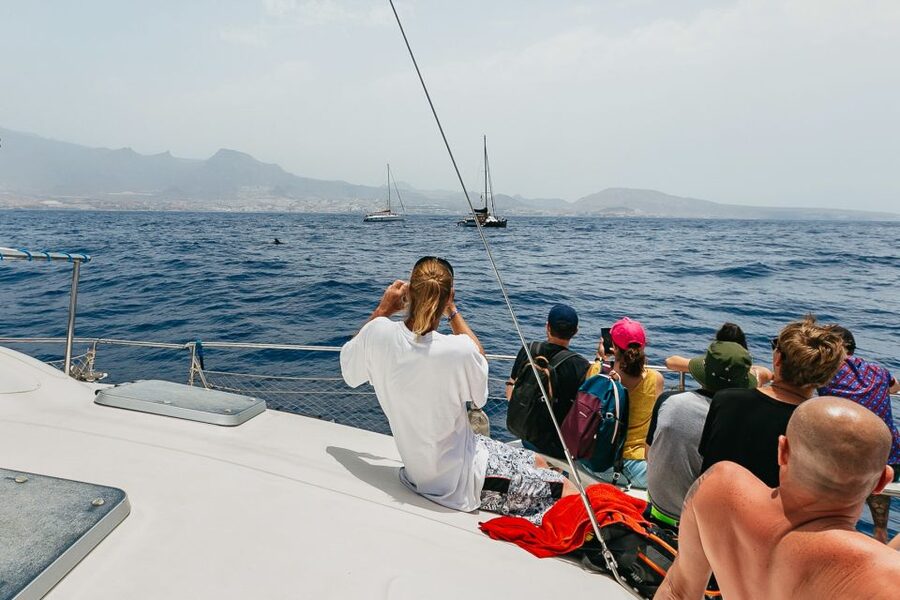 Costa Adeje: Whale Watching Catamaran Tour with Drinks - What you gain with the three-hour option
