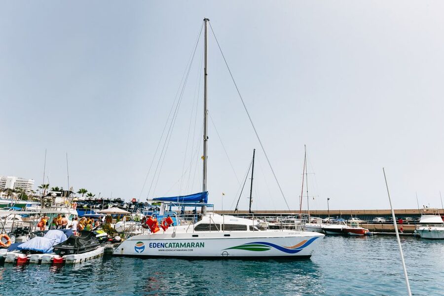 Costa Adeje: Whale Watching Catamaran Tour with Drinks - The sea conditions you should prepare for