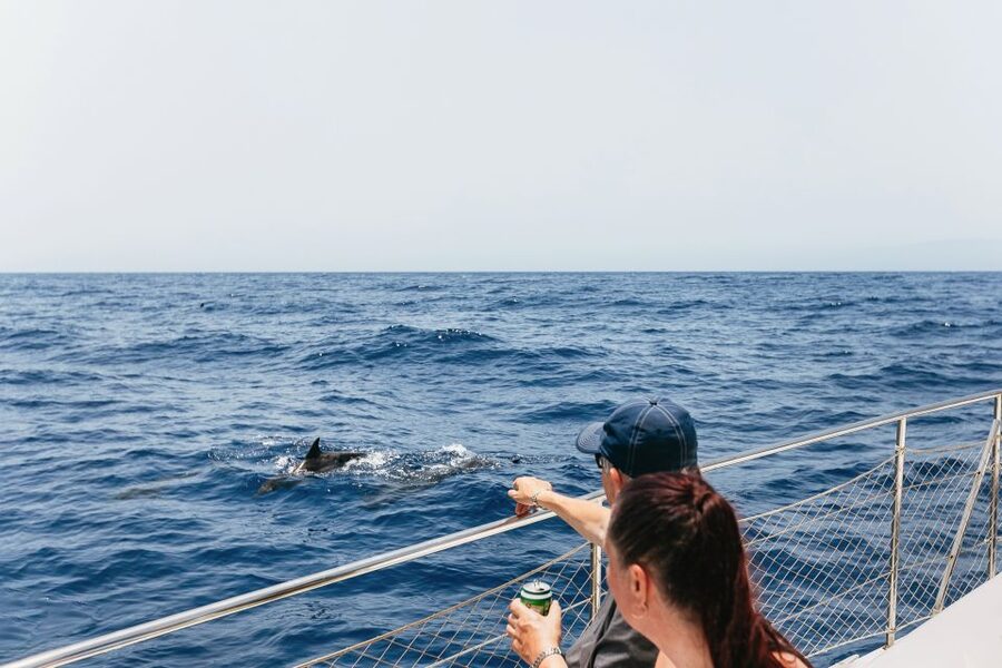 Costa Adeje: Whale Watching Catamaran Tour with Drinks - Leaving Puerto Colon on a catamaran