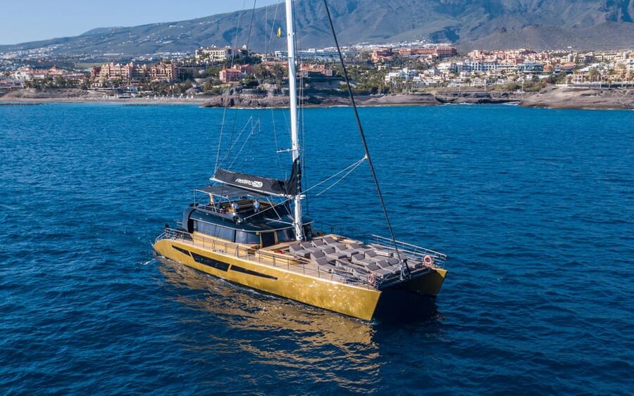 Costa Adeje: Whale Watching Cruise - Key points to know before boarding