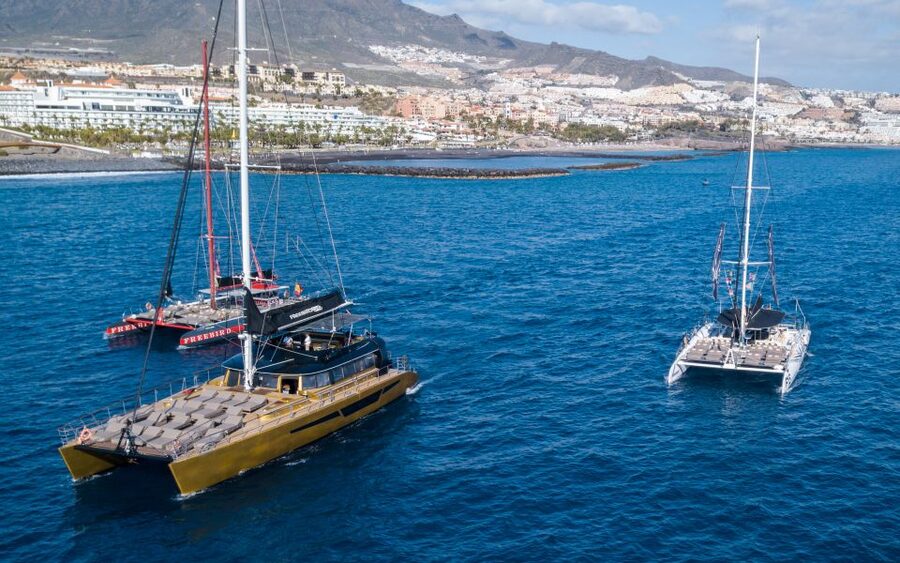 Costa Adeje: Whale Watching Cruise - Why this short Costa Adeje cruise works well