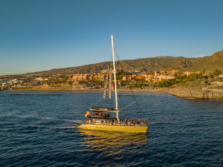 Costa Adeje: Whale Watching Cruise - Photos, extra charges, and the value of $55