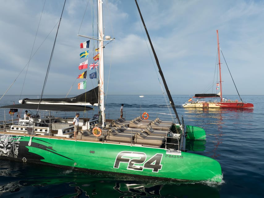 Costa Adeje: Whale Watching Cruise - Who should book this catamaran outing