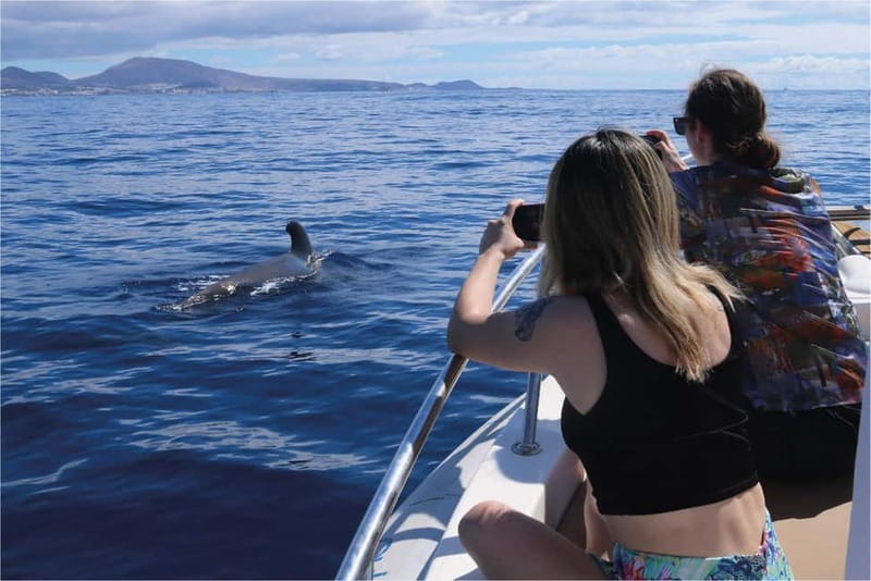 Costa Adeje: Whale Watching Eco Experience with Hydrophone. - The hydrophone turns a sighting into a listening experience