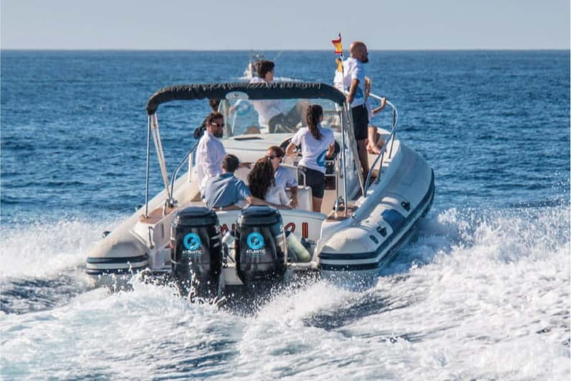 Costa Adeje: Whale Watching Eco Experience with Hydrophone. - A conservation policy you can see in practice