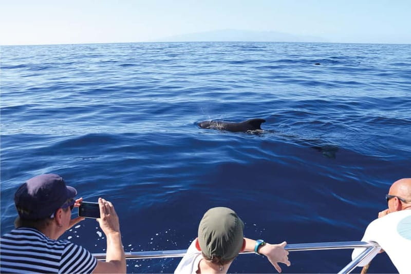 Costa Adeje: Whale Watching Eco Experience with Hydrophone. - What to bring for the boat