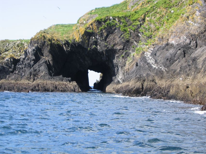 County Cork: Whale & Dolphin Watching Boat Trip - Who will enjoy the Wave Chieftain most?