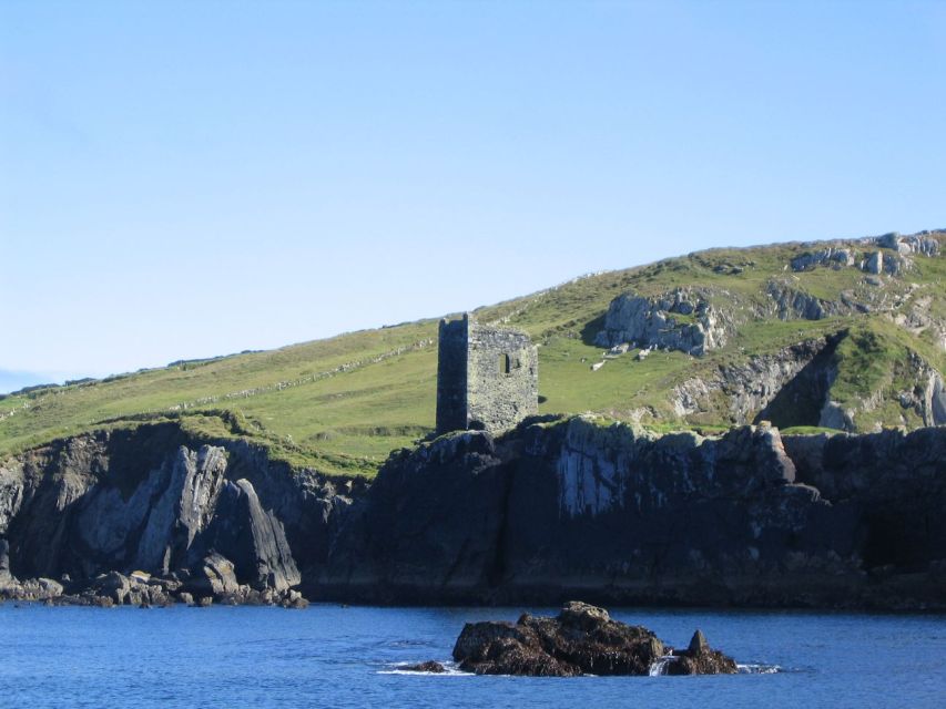 County Cork: Whale & Dolphin Watching Boat Trip - Searching for dolphins, whales, and seals